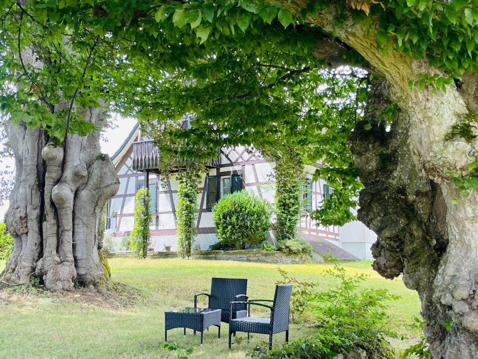 Appartement Villa Seeliebe 泰格维伦 外观 照片